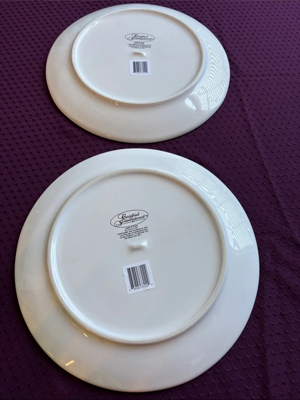 NWT Certified International “Autumn Harvest”Dinner Plates - Set of 2